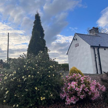 Dans Wee Cottage Slieve Croob Dromara Castlewellan Newcastle 외부 사진