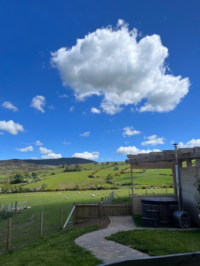 Dans Wee Cottage Slieve Croob Dromara Castlewellan Newcastle 외부 사진